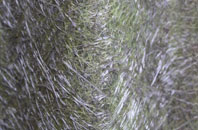 Hovingham fibreglass roof work